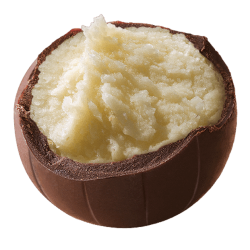 Melkesjokoladetrffelutvalg "Vinter" kjeks/kokos/blbr-yoghurtkremfyll PURE 120g