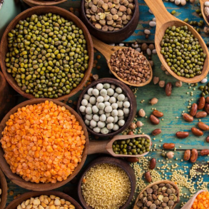 Bnner / Linser / Erter