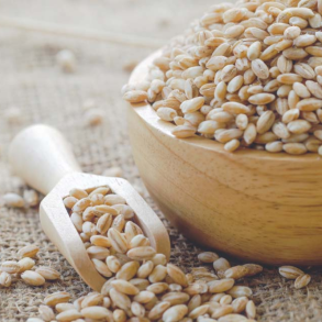 Bygg gryn / Perle gryn / Hirse