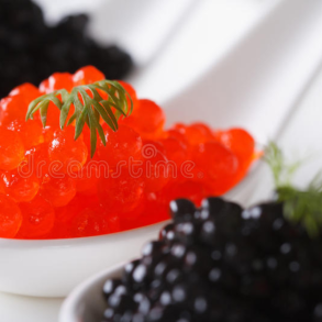 Caviar